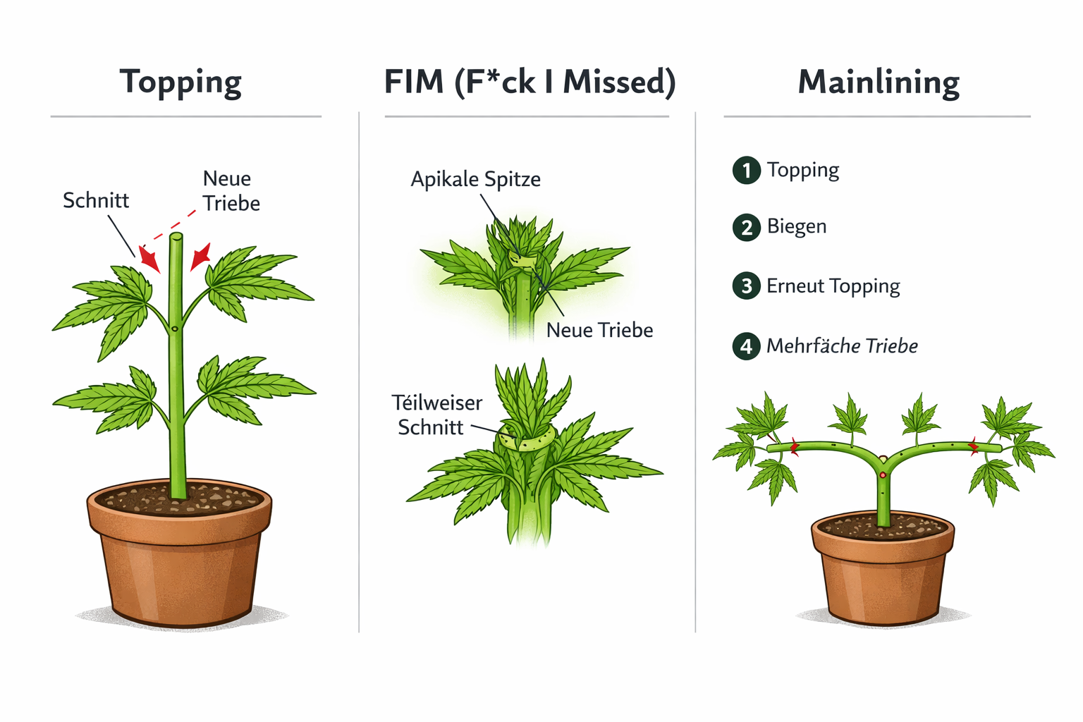 Topping vs FIM vs Mainlining – Unterschiede der Trainingstechniken
