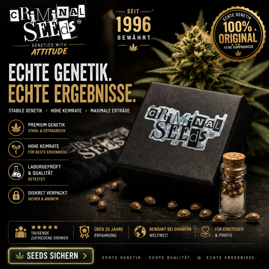 "SEEDS HIER KLICKEN" 
