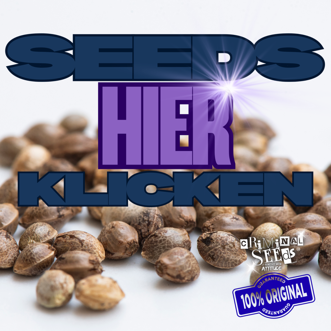 "SEEDS HIER KLICKEN" 